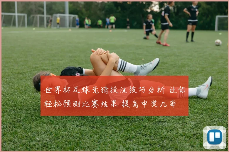世界杯足球竞猜投注技巧分析 让你轻松预测比赛结果 提高中奖几率