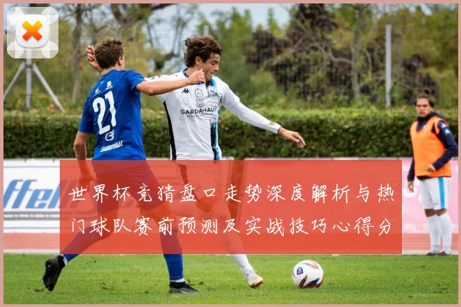 世界杯竞猜盘口走势深度解析与热门球队赛前预测及实战技巧心得分享