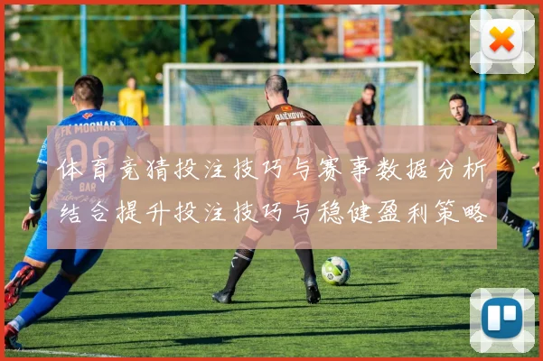 体育竞猜投注技巧与赛事数据分析结合提升投注技巧与稳健盈利策略探索