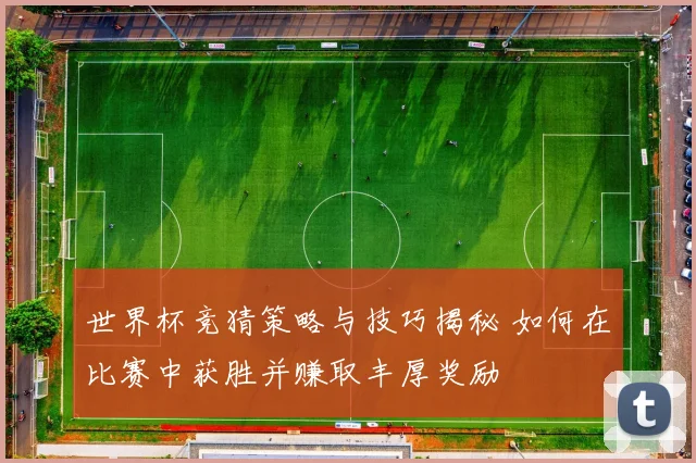 世界杯竞猜策略与技巧揭秘 如何在比赛中获胜并赚取丰厚奖励