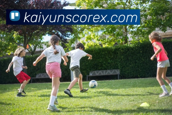 开云平台展示图