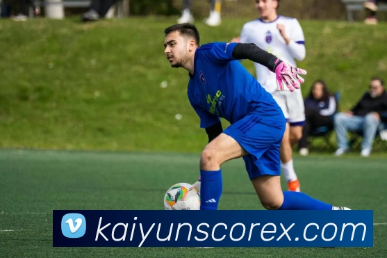 开云娱乐全站App